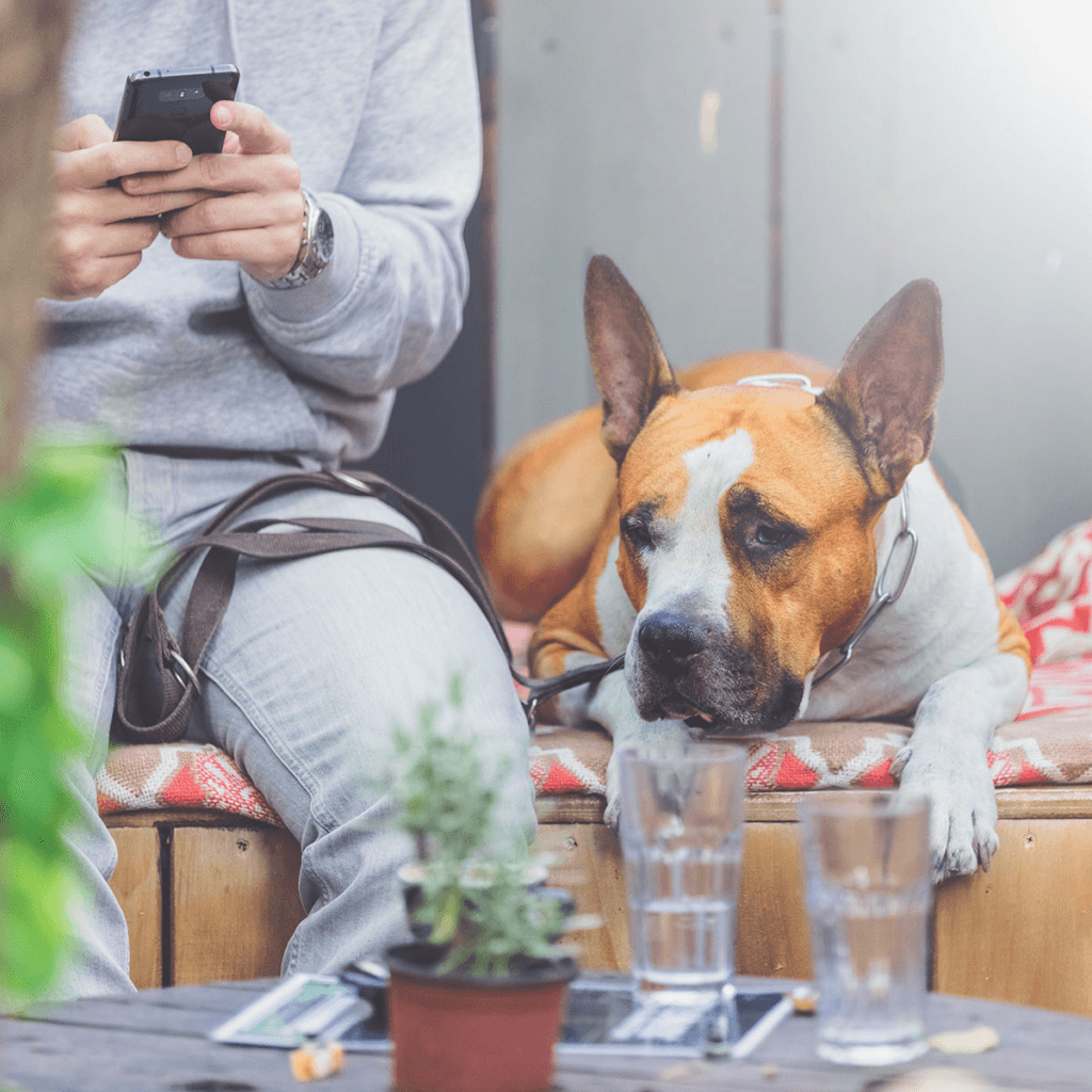 Industry Trends to look out for in 2024